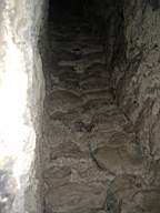 bellanamullia - 1216.JPG